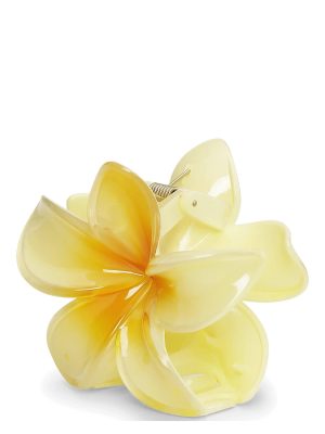 PLUMERIA BISOU BIG